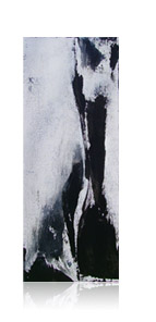 Composition N/B # 3 :: nov 10 :: 50 x 20 :: matières minérales, acrylique, encre de chine sur toile ::